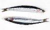 Boqueron Blanco