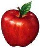 Manzana