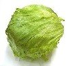 Lechuga