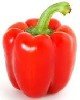 Pimiento Rojo