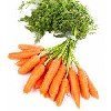 Zanahorias